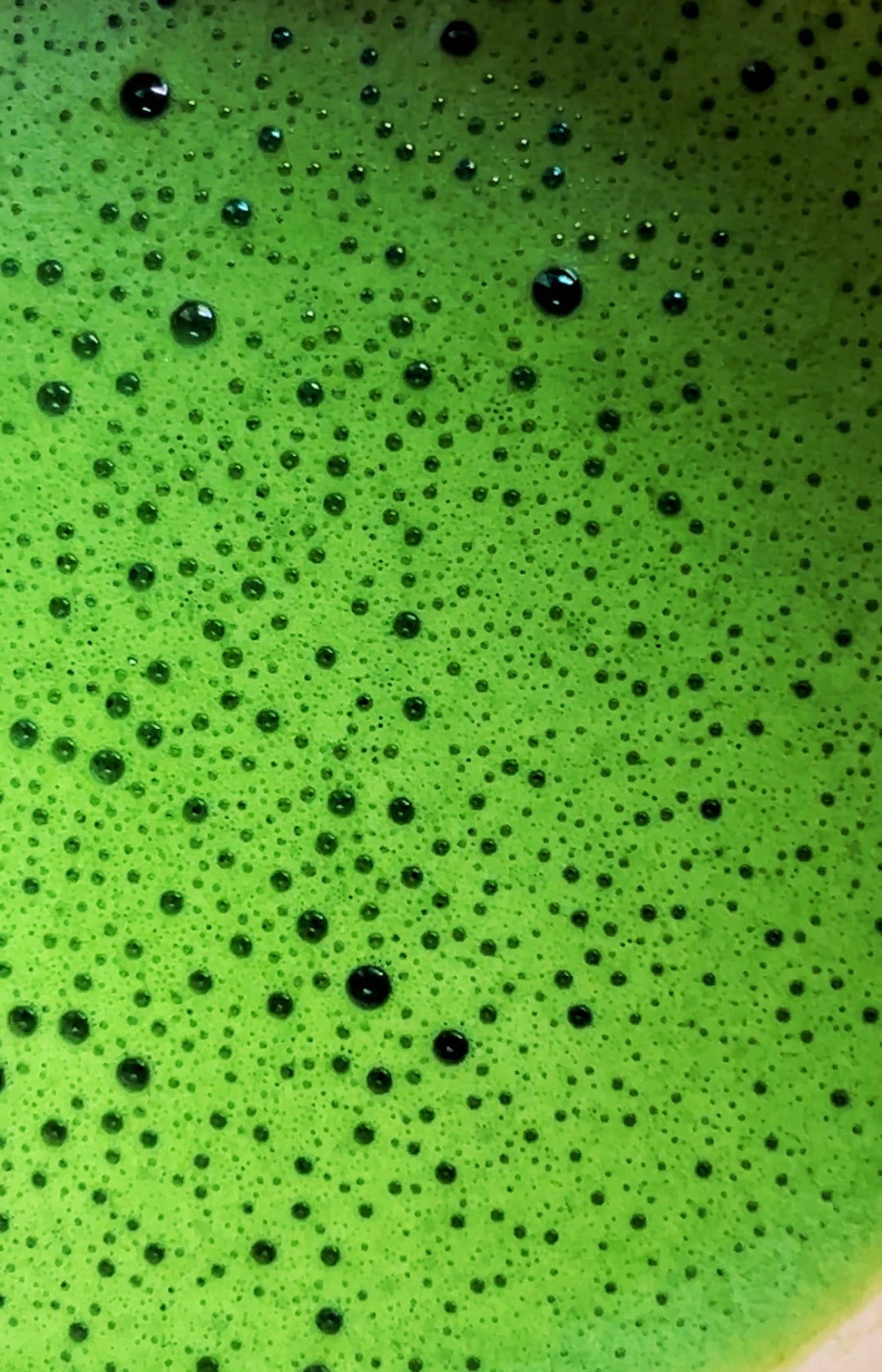 Matcha + Brainstorm Clarity Combo